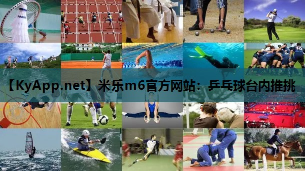 米乐m6官方网站:乒乓球台内推挑