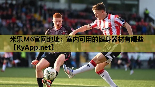 米乐M6官网地址:室内可用的健身器材有哪些