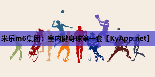 米乐m6集团:室内健身球第一套