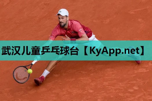 武汉儿童乒乓球台