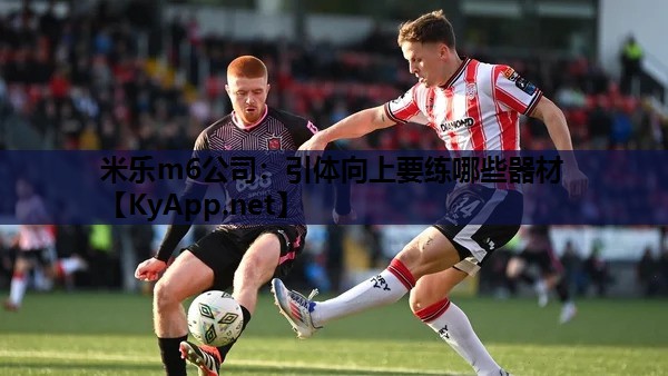米乐m6公司:引体向上要练哪些器材