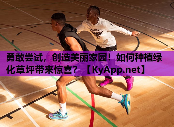 勇敢尝试,创造美丽家园!如何种植绿化草坪带来惊喜?