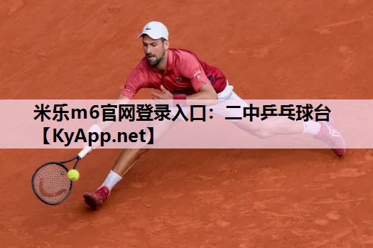 米乐m6官网登录入口:二中乒乓球台