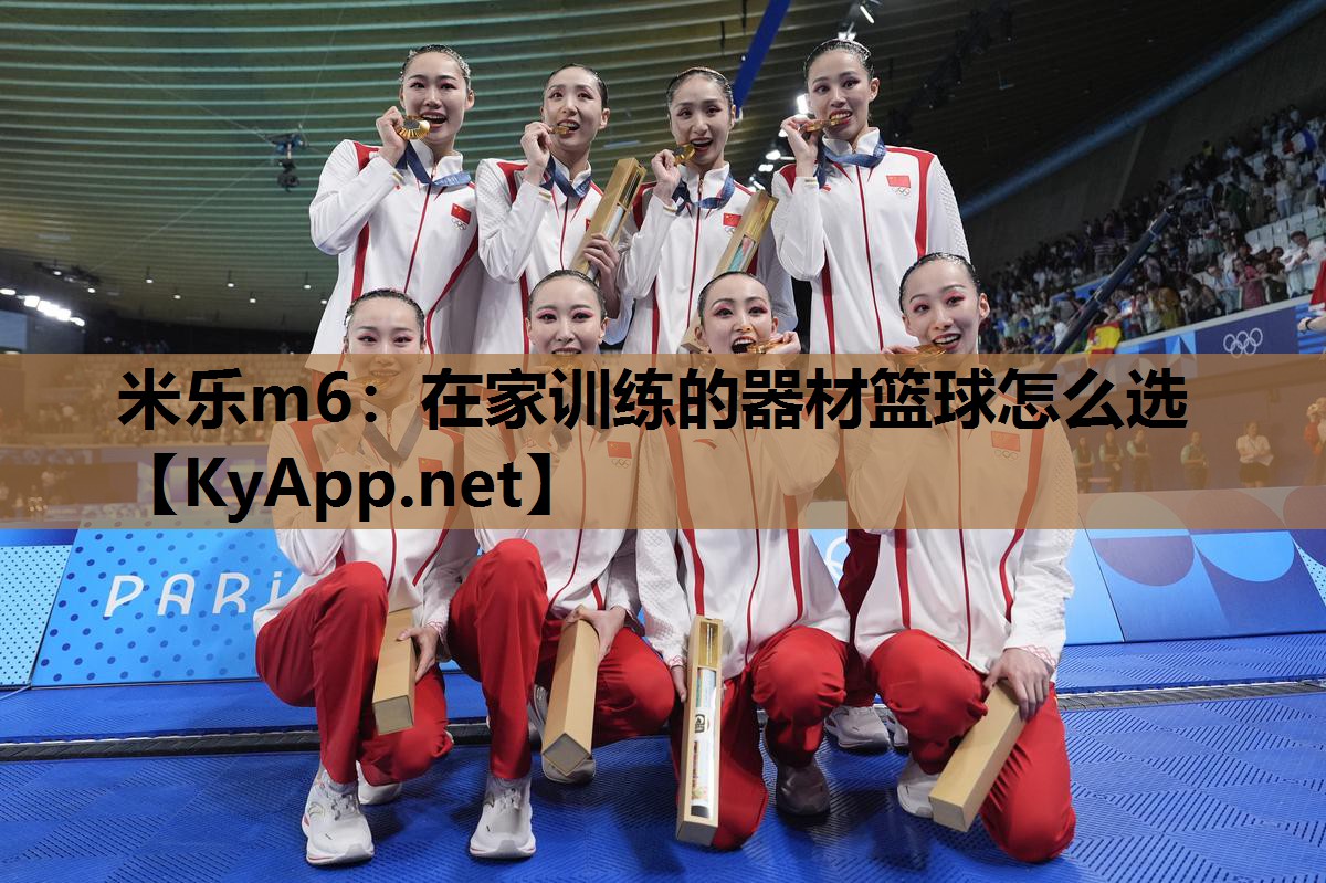 米乐m6:在家训练的器材篮球怎么选