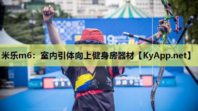 米乐m6:室内引体向上健身房器材