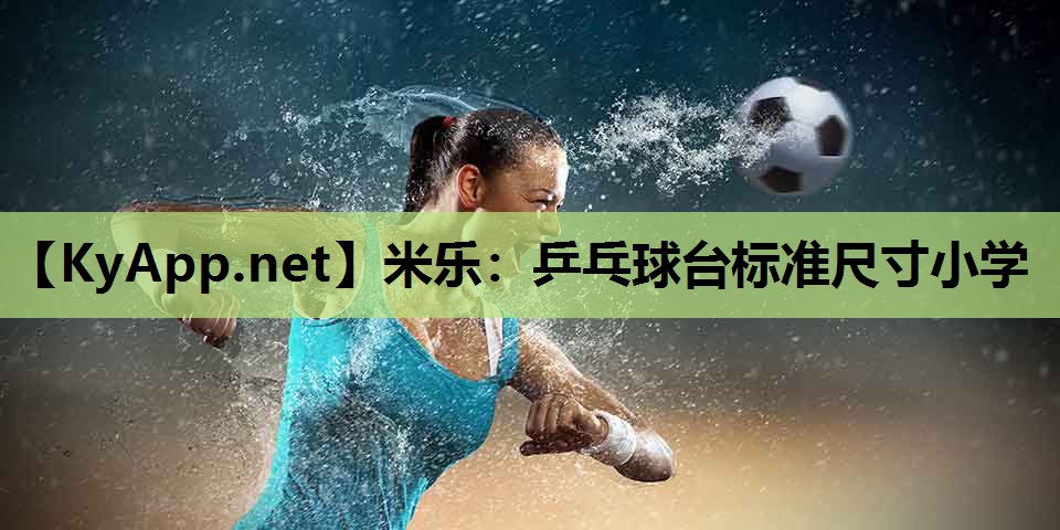 乒乓球台标准尺寸小学
