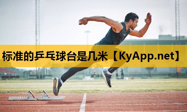 标准的乒乓球台是几米