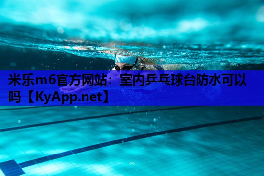 室内乒乓球台防水可以吗