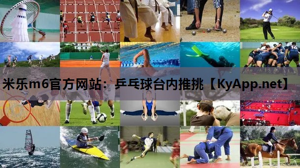 乒乓球台内推挑
