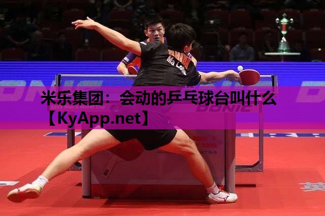 会动的乒乓球台叫什么