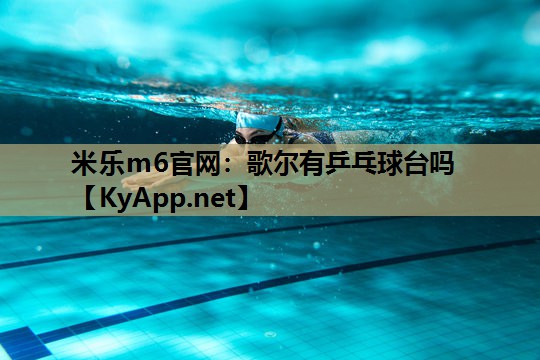 歌尔有乒乓球台吗
