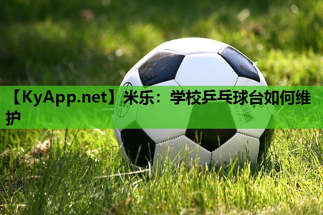 学校乒乓球台如何维护