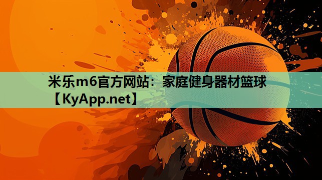 家庭健身器材篮球