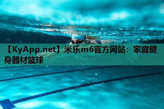 家庭健身器材篮球