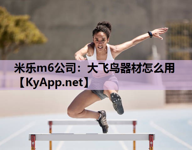 大飞鸟器材怎么用