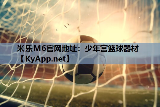 少年宫篮球器材
