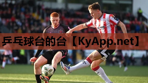 乒乓球台的台