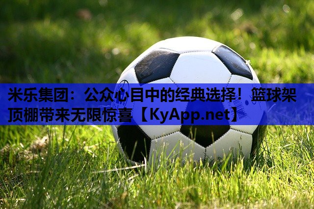 公众心目中的经典选择！篮球架顶棚带来无限惊喜