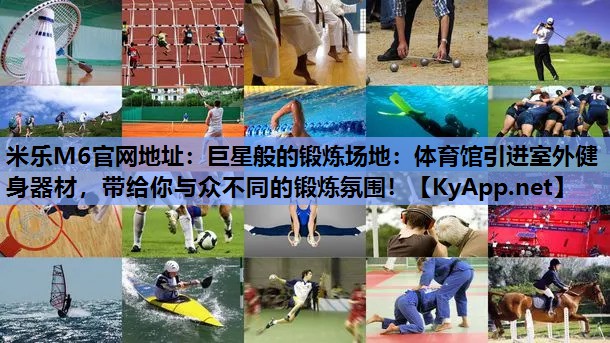巨星般的锻炼场地：体育馆引进室外健身器材，带给你与众不同的锻炼氛围！