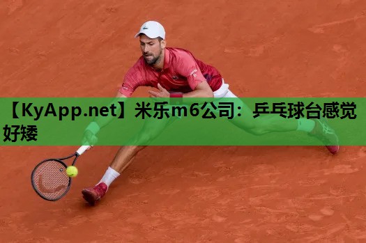 乒乓球台感觉好矮