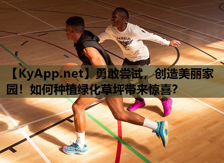 勇敢尝试，创造美丽家园！如何种植绿化草坪带来惊喜？