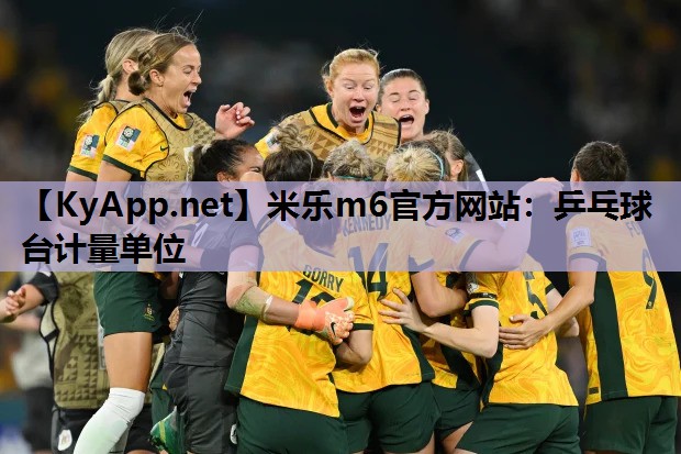 乒乓球台计量单位