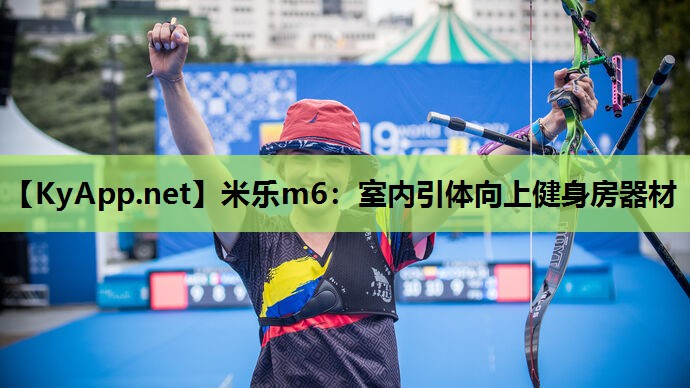 室内引体向上健身房器材