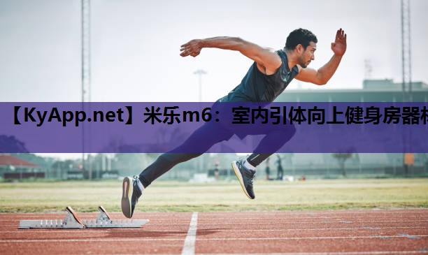 室内引体向上健身房器材