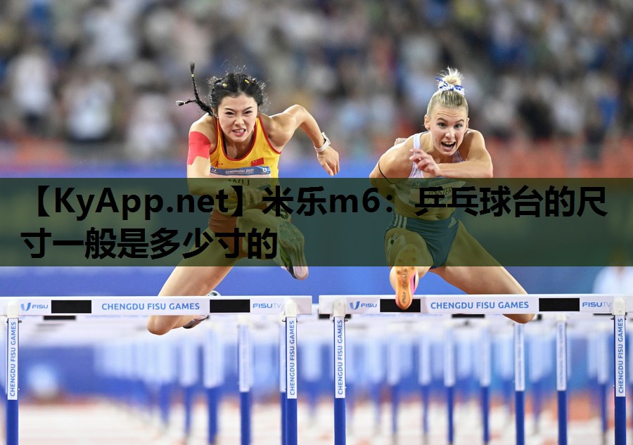 乒乓球台的尺寸一般是多少寸的