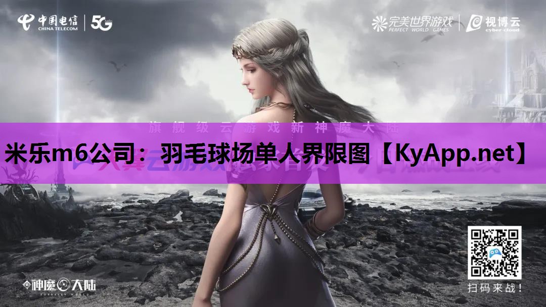 羽毛球场单人界限图