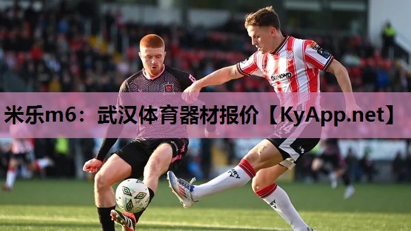 武汉体育器材报价