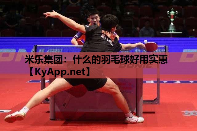 什么的羽毛球好用实惠