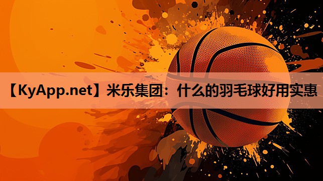 什么的羽毛球好用实惠